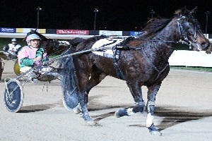 Alan Smith – SA’s oldest winning driver? - Harnessbred