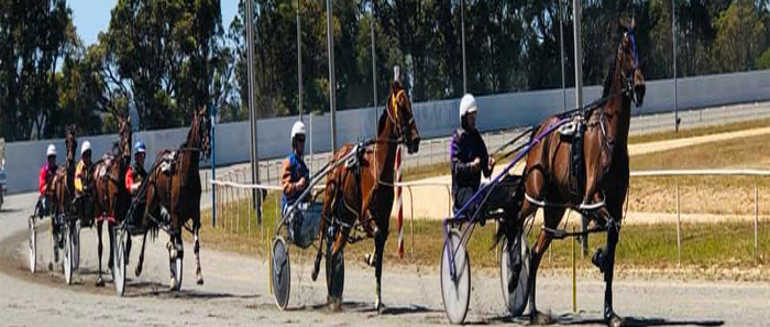 Wa Harness Racing RACETRACKS OF THE WORLD – AUSTRALIA : WESTERN AUSTRALIA (Other Regional ...