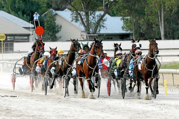 RACETRACKS OF THE WORLD – AUSTRALIA : NSW COUNTRY (Regional tracks ...